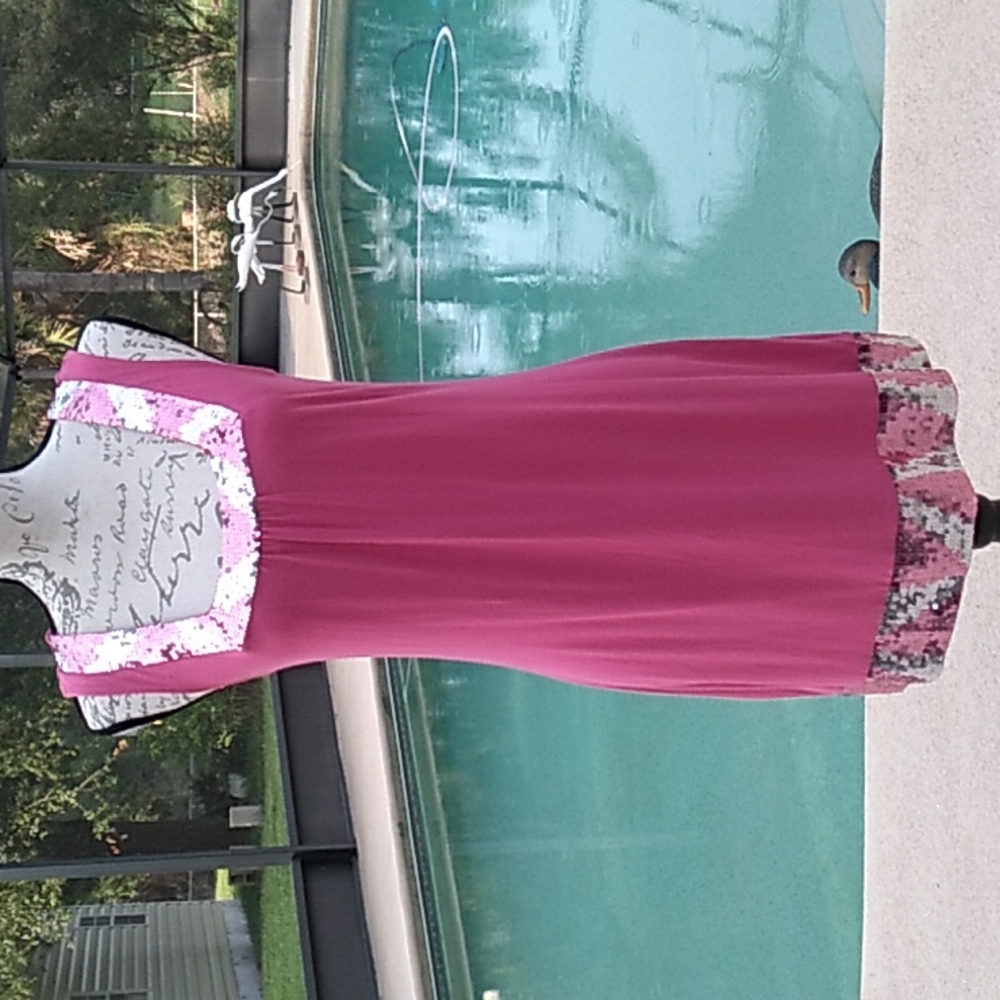 Express Dark Pink Dress With Pink And Silver Sequins Size Small